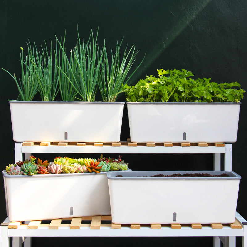 Self-Watering Planter Pots